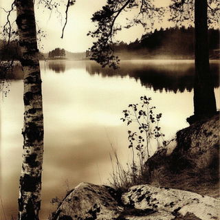 Foliamigrate style, Midjourney V6.1: realistic landscape photograph of quiet dawn