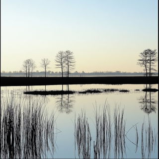 Puppetwire Cataclysm style, Midjourney V6.1: realistic landscape photograph of quiet dawn