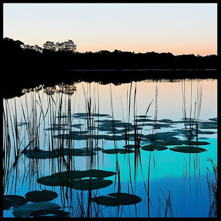 Tealbrick Narrative style, Midjourney V6.1: realistic landscape photograph of quiet dawn