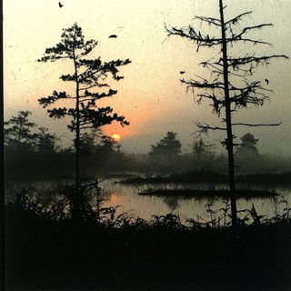 Vitrogild style, Midjourney V6.1: realistic landscape photograph of quiet dawn