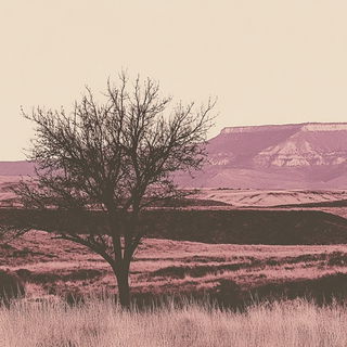 Mushroom Taliscript style, Midjourney V6.1: realistic landscape photograph of quiet dawn
