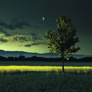 Redleaf Armageddon style, Midjourney V6.1: realistic landscape photograph of quiet dawn