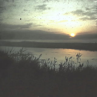 Mosswing Passage style, Midjourney V6.1: realistic landscape photograph of quiet dawn