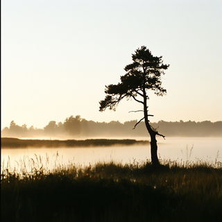 Stiltbrick Vanguard style, Midjourney V6.1: realistic landscape photograph of quiet dawn