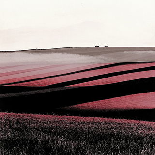 Impastrology style, Midjourney V6.1: realistic landscape photograph of quiet dawn