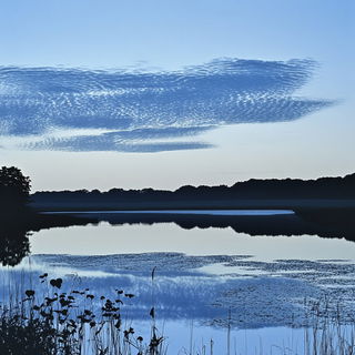 Stratoceratops Engraving style, Midjourney V6.1: realistic landscape photograph of quiet dawn