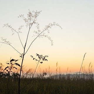 Lumenstring Marionette style, Midjourney V6.1: realistic landscape photograph of quiet dawn