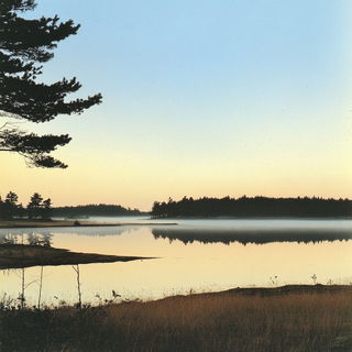 Veinlight style, Midjourney V6.1: realistic landscape photograph of quiet dawn
