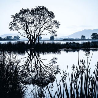 Plateau Blueback style, Midjourney V6.1: realistic landscape photograph of quiet dawn