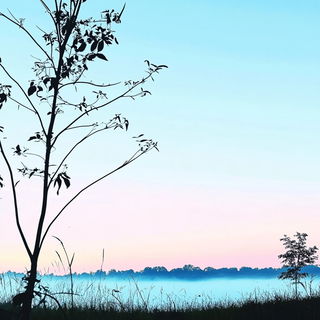 Tealbird Afterlight style, Midjourney V6.1: realistic landscape photograph of quiet dawn