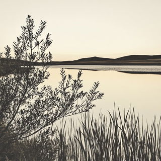 Collagegrimage style, Midjourney V6.1: realistic landscape photograph of quiet dawn