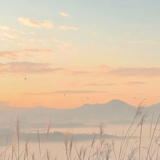 Swirlboard Lettering style, Midjourney V6.1: realistic landscape photograph of quiet dawn