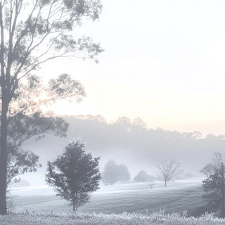 Maskforge style, Midjourney V6.1: realistic landscape photograph of quiet dawn