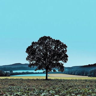 Electric Water Duotone style, Midjourney V6.1: realistic landscape photograph of quiet dawn