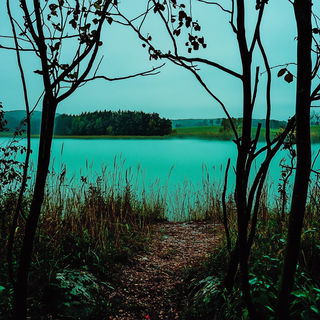 Ruinstory Inkward style, Midjourney V6.1: realistic landscape photograph of quiet dawn
