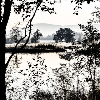 Symmetric Mooncourt style, Midjourney V6.1: realistic landscape photograph of quiet dawn