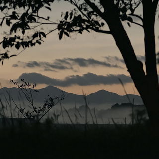 Inkverdure style, Midjourney V6.1: realistic landscape photograph of quiet dawn