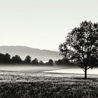 Ochre Gildscape style, Midjourney V6.1: realistic landscape photograph of quiet dawn