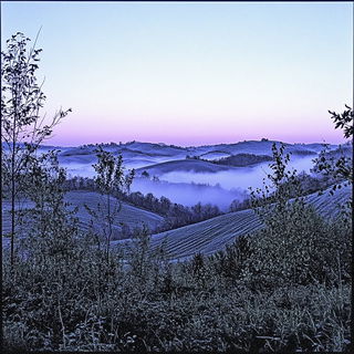 Glossogrotesque style, Midjourney V6.1: realistic landscape photograph of quiet dawn