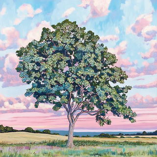 Paper Sun Lanterns style, Midjourney V6.1: realistic landscape photograph of quiet dawn