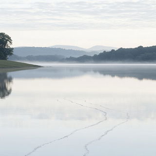 Fossilflora style, Midjourney V6.1: realistic landscape photograph of quiet dawn