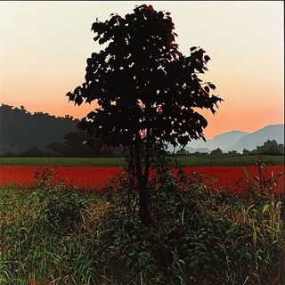 Furcollar Aerotattoo style, Midjourney V6.1: realistic landscape photograph of quiet dawn