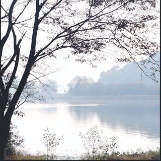Brickrayism style, Midjourney V6.1: realistic landscape photograph of quiet dawn