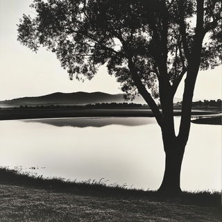 Florafauna style, Midjourney V6.1: realistic landscape photograph of quiet dawn