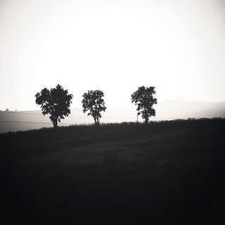 Redcut Expedition style, Midjourney V6.1: realistic landscape photograph of quiet dawn