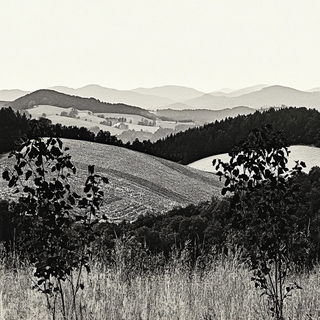 Salmoncel Mechscapes style, Midjourney V6.1: realistic landscape photograph of quiet dawn