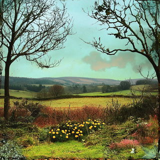 Voidneedle style, Midjourney V6.1: realistic landscape photograph of quiet dawn