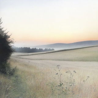 Silhouette Botanics style, Midjourney V6.1: realistic landscape photograph of quiet dawn