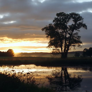 Crayonectics style, Midjourney V6.1: realistic landscape photograph of quiet dawn