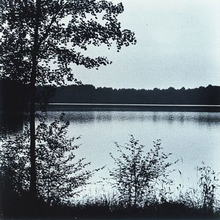Pixelstrophe style, Midjourney V6.1: realistic landscape photograph of quiet dawn