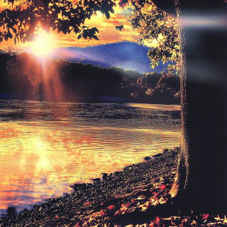 Morroway Motion Collective style, Midjourney V6.1: realistic landscape photograph of quiet dawn