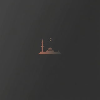 Sunlit Column Parade style, Midjourney V6.1: bold minimalist logo design for Istanbul city municipal services