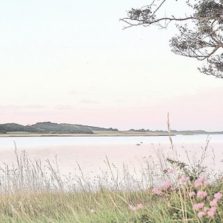 Mythopterica style, Midjourney V6.1: realistic landscape photograph of quiet dawn