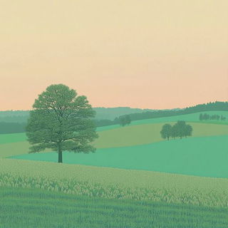 Arabesque Biolore style, Midjourney V6.1: realistic landscape photograph of quiet dawn