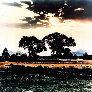 Prism Shard Assemblage style, Midjourney V6.1: realistic landscape photograph of quiet dawn
