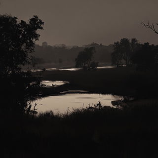 Sealstorm Ornamentics style, Midjourney V6.1: realistic landscape photograph of quiet dawn