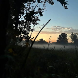 Serpentine Deco Narrative style, Midjourney V6.1: realistic landscape photograph of quiet dawn