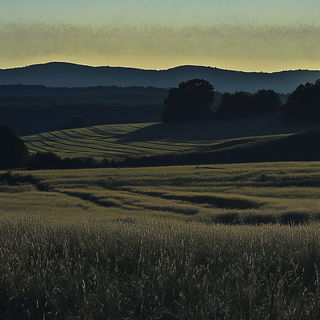 Whorlweave style, Midjourney V6.1: realistic landscape photograph of quiet dawn