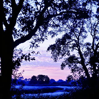 Kelmere Brushworks style, Midjourney V6.1: realistic landscape photograph of quiet dawn