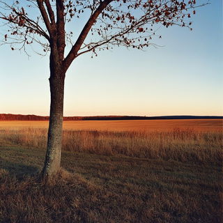Whitefield Megasurvey style, Midjourney V6.1: realistic landscape photograph of quiet dawn