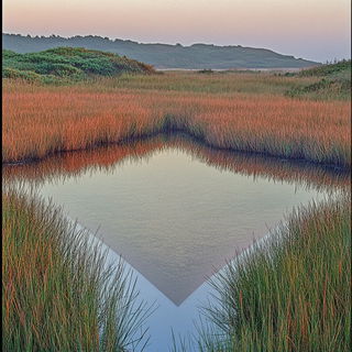 Noctuid Signal style, Midjourney V6.1: realistic landscape photograph of quiet dawn
