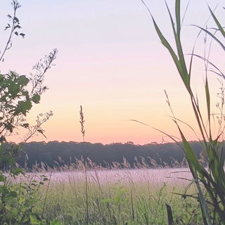 Campyromyth style, Midjourney V6.1: realistic landscape photograph of quiet dawn