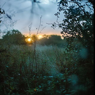 Topographic Carnival style, Midjourney V6.1: realistic landscape photograph of quiet dawn