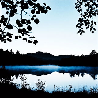 Tidecrest Armorial style, Midjourney V6.1: realistic landscape photograph of quiet dawn