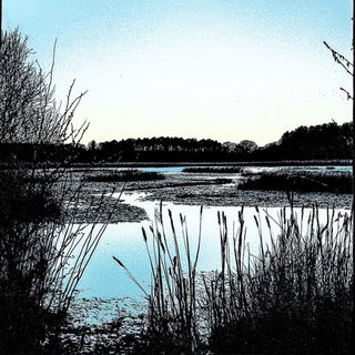 Florapulp style, Midjourney V6.1: realistic landscape photograph of quiet dawn