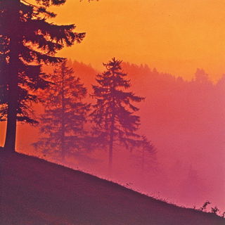 Moonharbor Cartotheque style, Midjourney V6.1: realistic landscape photograph of quiet dawn